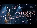 아이묭 - 사랑꽃(愛の花, ai no hana)┃AIMYON TOUR 2023 -マジカル・バスルーム- 벚꽃버전
