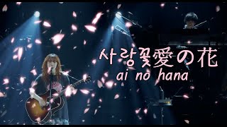 아이묭 - 사랑꽃(愛の花, ai no hana)┃AIMYON TOUR 2023 -マジカル・バスルーム- 벚꽃버전