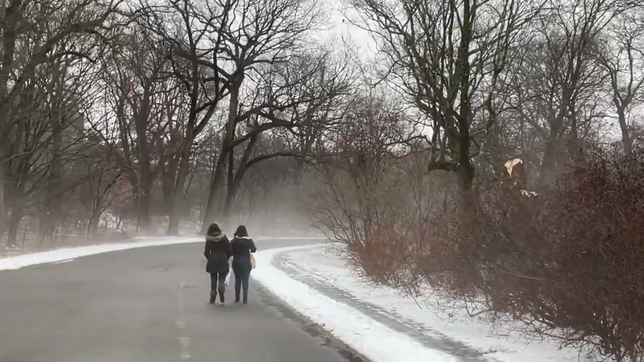 Đầu mùa đông 2026 