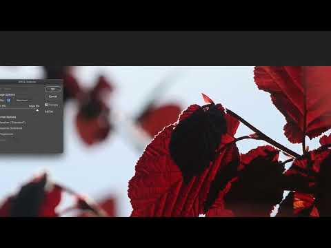 Как сохранить изображение в JPEG в Photoshop