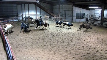 Valley View Ranch - Nic Dreamy - sorting 1