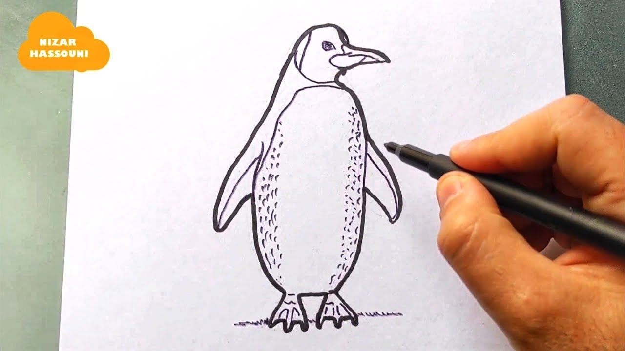 Comment Dessiner Un Pingouin Facile