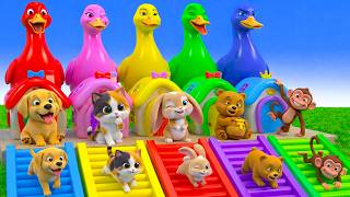 Funny 3D Animals Super Fast Long Slide Game Race