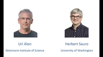 Jan 14: Protein Signaling: Uri Alon and Herbert Sauro