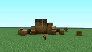 TNT Explosion : Minecraft Test Animation