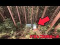 【2025年】日本のドラレコ映像まとめ 事故・危険運転集 #38