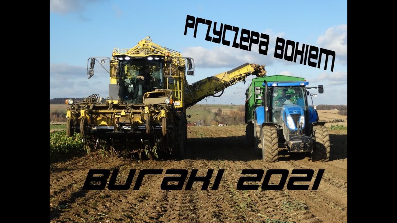 Kopanie Buraków w Gr Bis - Ropa Tiger 6 - UR Woźniak - Pronar Bokiem?!?