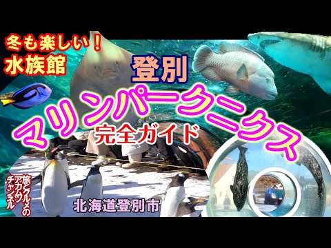 北海道最大級の水族館【登別マリンパーク ニクス】完全ガイドー北海道登別市