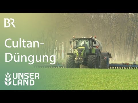 Video: Inhaltsstoffersatz Für Den Kalkmangel