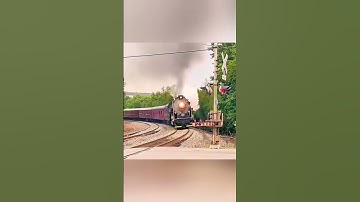 WHAT IS NON NEWTONIAN FLUIDS🤔💡?(TRAIN VS THIS FLUID).#science