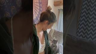 Celebrity He understood the Assignment🤣👏🏼 #comedy #kitten #twins  #catmom Net Worth