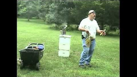 How to Perform a Hive Inspection - Part 2.