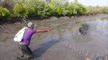 Lucky Times - I Found Huge Mud Crabs In Muddy after Water Low Tide