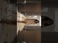 AI Cinematic Scene | Fully AI Generated | ComfyUI 🎬 #ai #aiart #aicinematic #aivideo #shorts