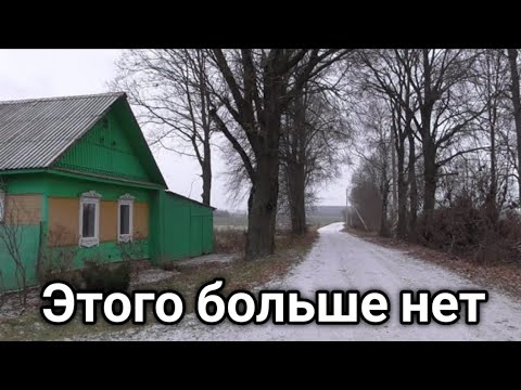 Видео: Развозили хозяйство, БЫЛИ В ШОКЕ КОГДА ВЕРНУЛИСЬ В ДЕРЕВНЮ