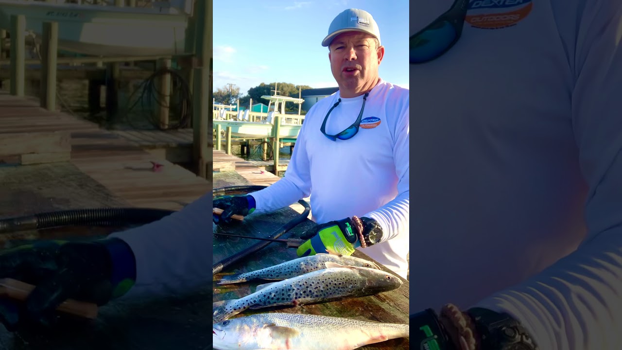 Dexter knives traditional 7” & 9” fillet knife