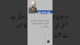 Khushnasib Biwiسمجھدار بیویPrivate Motivation