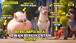 KETIKA PARA HEWAN PELIHARAAN MENJADI SUPERHERO || Alur Cerita Film DC LEAGUE OF SUPER PETS (2022)