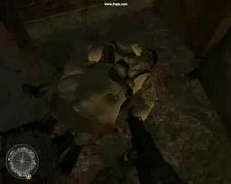 Funny Cod2 Bug