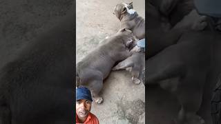 #cute #poppy #funny viral video #hiro 😍🫣🤗