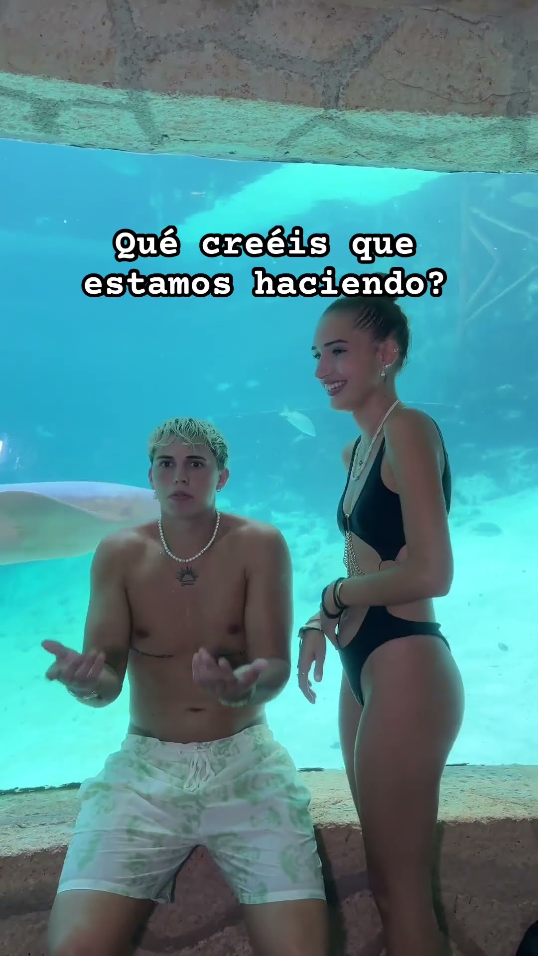 Voy a seguir a quién lo adivine❤️