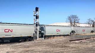 CN 2983 leads westbound M301 arriving (03/11/2024)