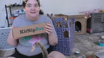 Unboxing Kitnip Box March 2025! 😻