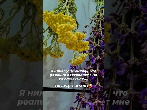 Хобби‼️