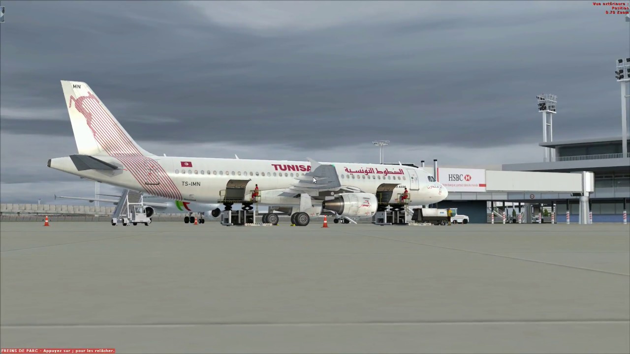 TÉLÉCHARGER TUNISAIR POUR FSX GRATUITEMENT TÉLÉCHARGER TUNISAIR POUR FSX GRATUITEMENT