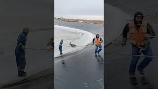 Deer Rescued From Freezing Icy Lake