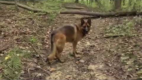 The Building - "All Things New" (Official Video)