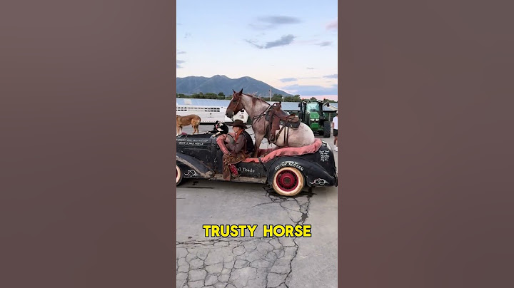 Forget horsepower, he brought the whole horse! 🚗💨