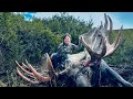 15yr old girl hunts giant moose 73  stuck n the rut 184