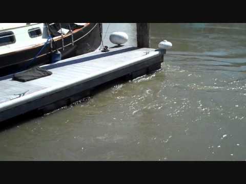 Tsunami Footage Alameda, CA_0001.wmv