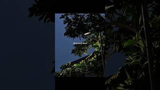 Tere Bin 🖤 – Rahat Fateh Ali Khan | Aesthetic Lyrics Video #TereBin #LyricsShorts #AestheticShorts