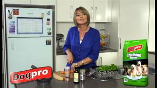 DOGPRO TRUE VALUE 15 SEC TV COMMERCIAL