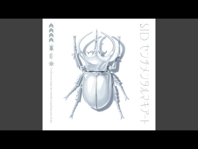 涙の温度 - YouTube