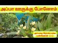 அப்பா ஊருக்கு போனோம்||Travel Vlog||அப்பாவ ரொம்ப miss பண்ணேன் 😔😔#அப்பா#ஊர்#சொந்தஊர்#appa#appamagal