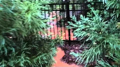 100315  storm drain with Clay Silt - My backyard