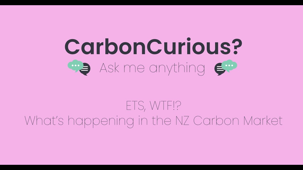 carboncurious-ets-wtf-what-s-happening-in-the-nz-carbon-market