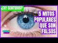 5 MITOS POPULARES que son falsos