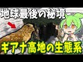 地上から隔絶された地球最後の秘境「ギアナ高地」で独自の進化をした生物８選【ずんだもん解説】