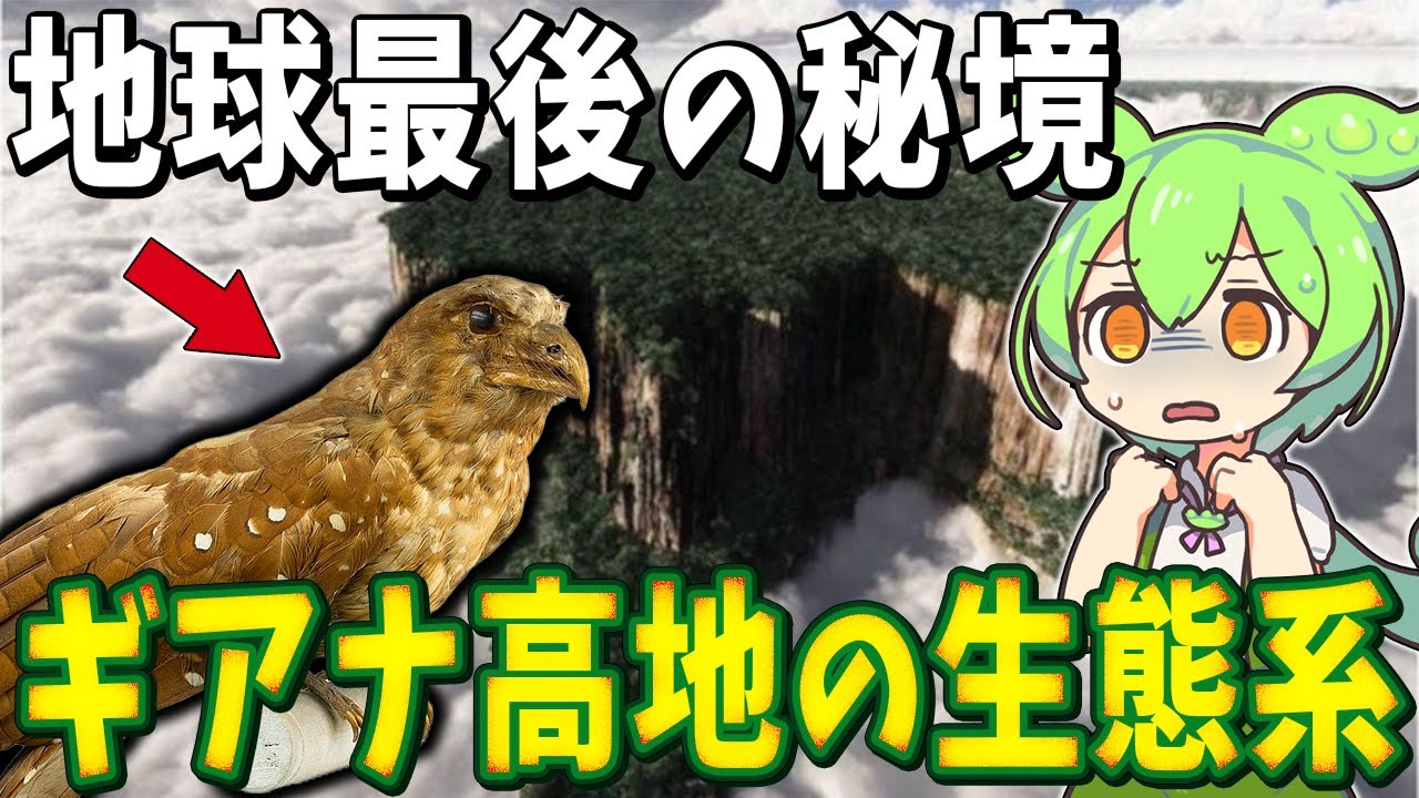 地上から隔絶された地球最後の秘境「ギアナ高地」で独自の進化をした生物８選【ずんだもん解説】