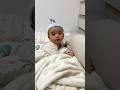 #babyshachi #シャチ　khung long con đi tim mom