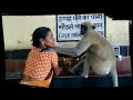 HEART TOUCHING RELATIONS OF 'WOMAN WITH MONKEY' - Exploring Incredible India