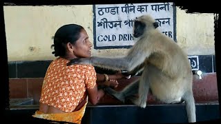 'HEART TOUCHING RELATIONS OF WOMAN WITH MONKEY'  Exploring Incredible India