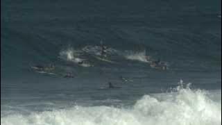 Ross Williams April 9 2013