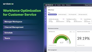 Workforce Optimization for Customer Service