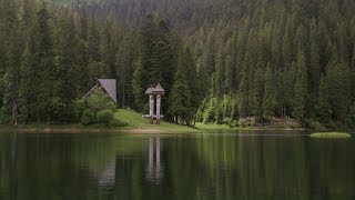 картинка: Водойми. Відео для дітей. Природознавство другий клас.