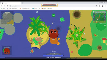 Fastest way to level up to 1 million xp in mope io